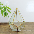Відкритий скляний геометричний тераріум у формі кулі пентагона